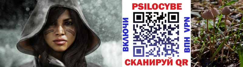 сколько стоит  Зверево  Псилоцибиновые грибы GOLDEN TEACHER 